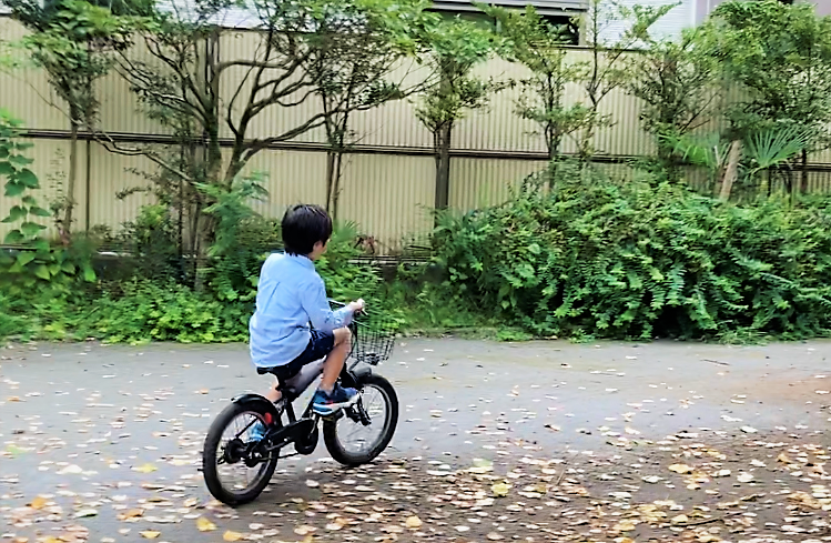 6 歳 自転車 教え 方